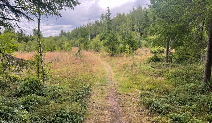 Foto 1 der Bikemap-Route "Josefsbergsrundan med Hålsjö"