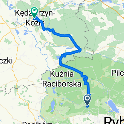 nedza