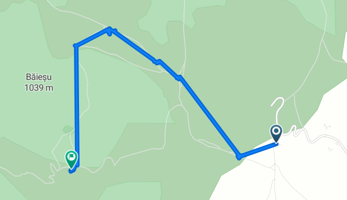 Route from Str. Călimani