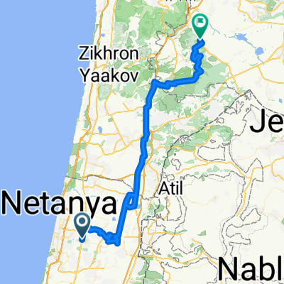 ציר המוביל עד הזורע