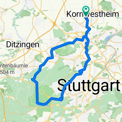 Birkenkopf,Barenschlössle,soletuede.