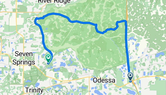 Suncoast Trail, Odessa to Starkey Blvd, New Port Richey