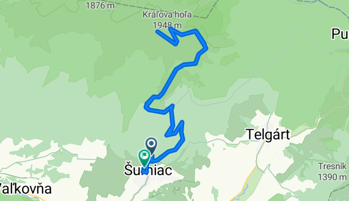 Kráľovohoľská cesta, Šumiac až Partizánska, Šumiac
