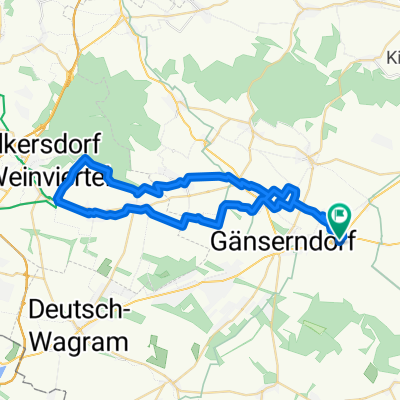 Wkdf.-Schönkirchen- Bockflies-Pillichsdorf- Zweigelt Weg- Bockberg-Auerstahl -Schönkirchen-Dörfles- Wkdf.