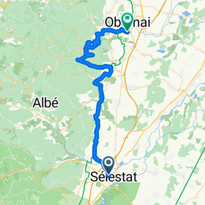 Elsass Tag 4 Selestat-Obernai über Mont Saint Odile
