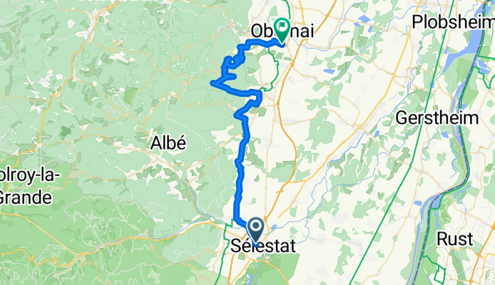Elsass Tag 4 Selestat-Obernai über Mont Saint Odile