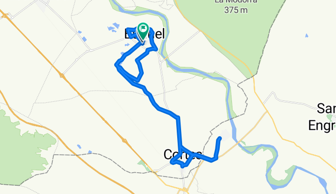 Buñuel  - Cortes - Novillas