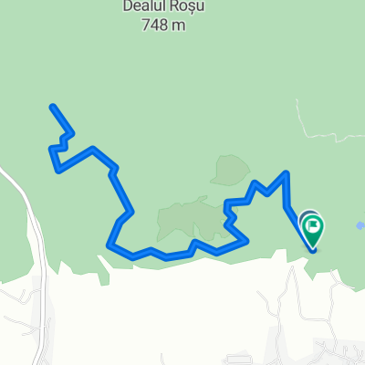 Arok traseu alergare/MTB