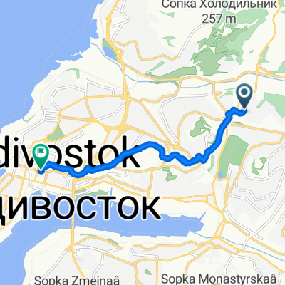 От Луговая улица до Океанский проспект