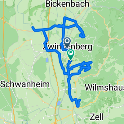 Panorama Tour Zwingenberg