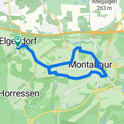 um Montabaur