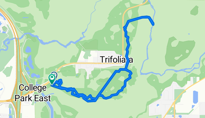Lower Hillsborough Flood Detention Area Trail, Thonotosassa to Lower Hillsborough Flood Detention Area Trail, Thonotosassa