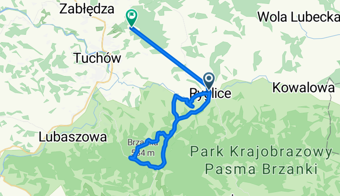 Ryglice Szkoła do Partyzantów