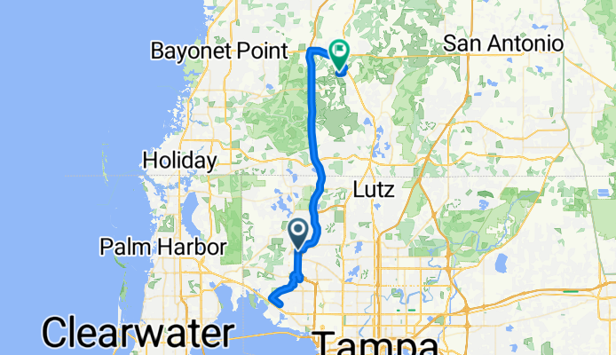 Gunn Hwy, Tampa to Edmonton Dr, Land O Lakes