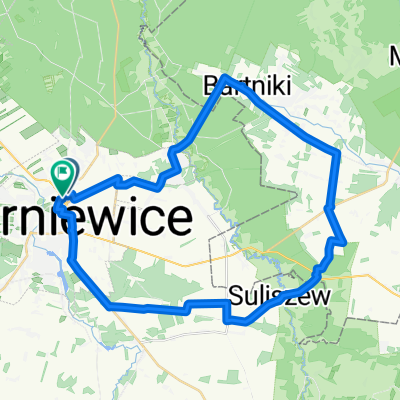 Topola - Bartniki - Suliszew