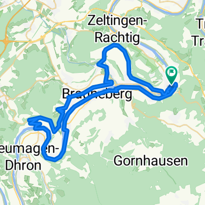 RT 50km Moselhöhenradweg - Die Moselloreleytour