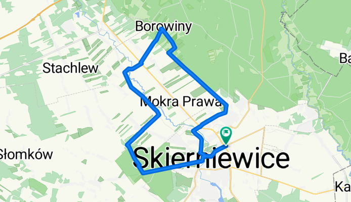 Lidl - Zwierzyniec - Borowiny - Widok