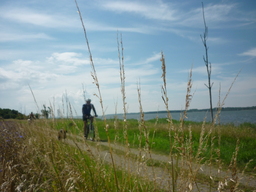 Hebe Bild 5 entlang der Bikemap-Route "Wittoverský okruh" hervor