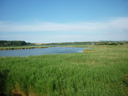 Hebe Bild 10 entlang der Bikemap-Route "Wittoverský okruh" hervor