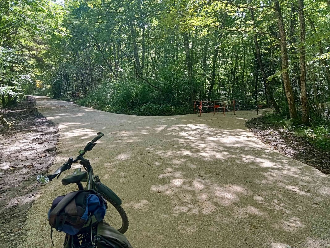 Divonne au magasin Satoriz à Ornex