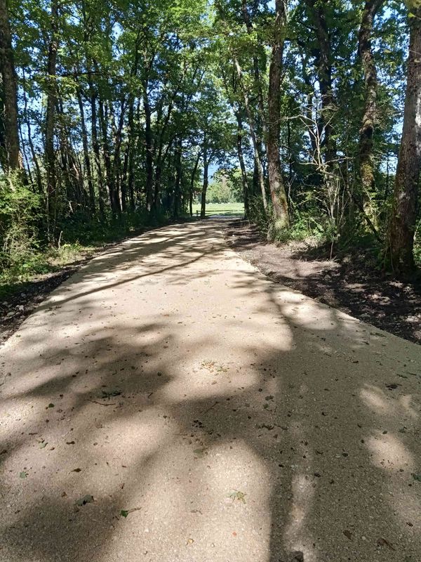 Divonne au magasin Satoriz à Ornex