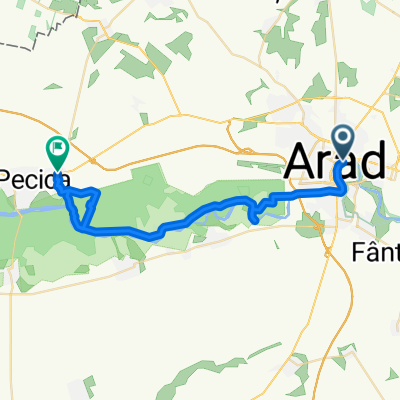 From Arad to Pecica