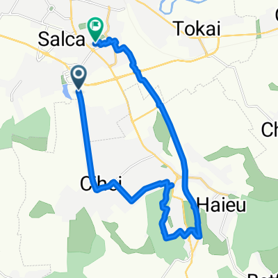 Strada Ciheiului, Oradea to Strada Ialomiței, Oradea