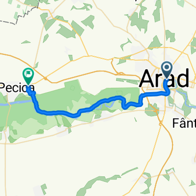 From Arad to Pecica