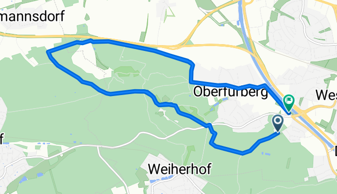 Laufen im Stadtwald