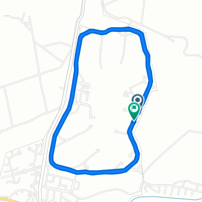 De Libélulas a Libélulas