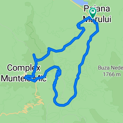 Poiana Marului Muntele Mic (round trip)