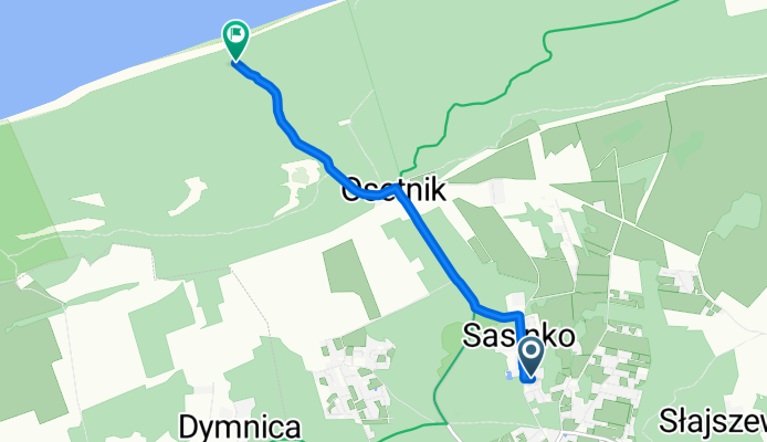 Ptasia, Sasino do Sasino