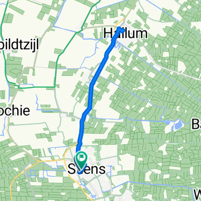 Langebuorren, Stiens naar Langebuorren, Stiens