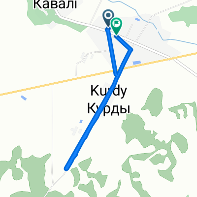 курды