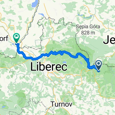 rené and anie are going wild #4