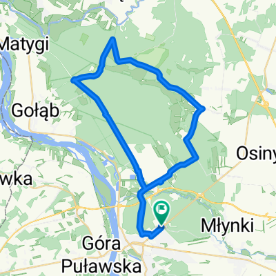 Niebieski Puławy