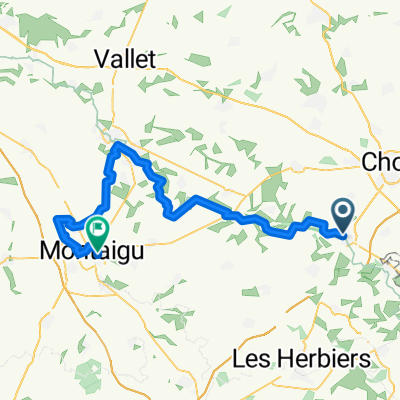 Mortagne-sur-Sèvre - Montaigu