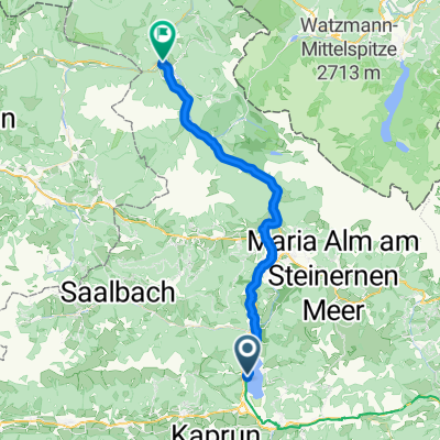 Wald im Pinzgau - Saalfelden am Steinernen Meer