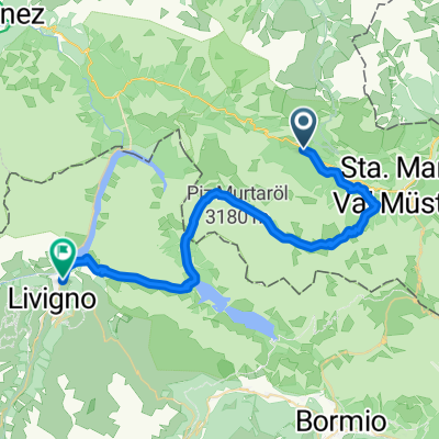 444-02: Nationalpark Bike-Tour. Etappe 2 Tschierv - Livigno