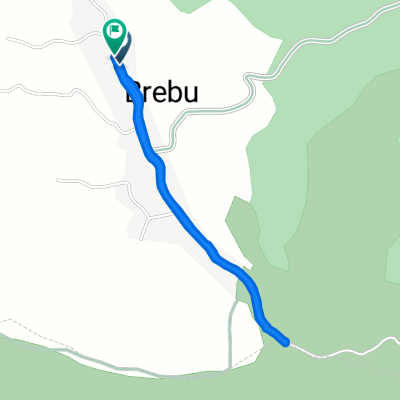 Brebu, Runcu to Brebu, Runcu