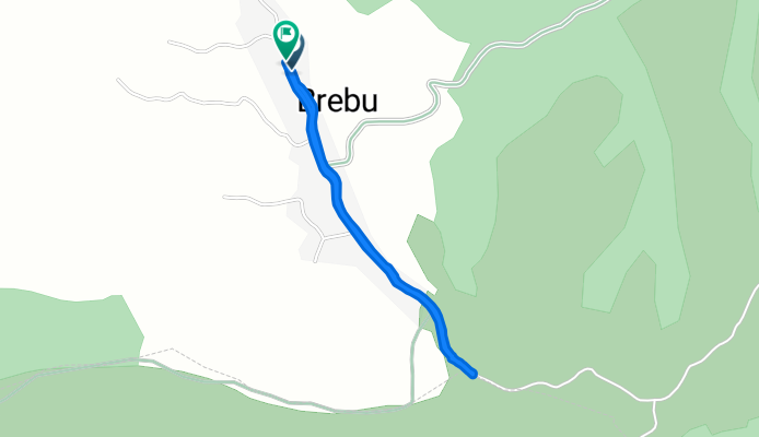 Brebu, Runcu to Brebu, Runcu