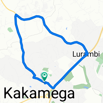 Long Route Home