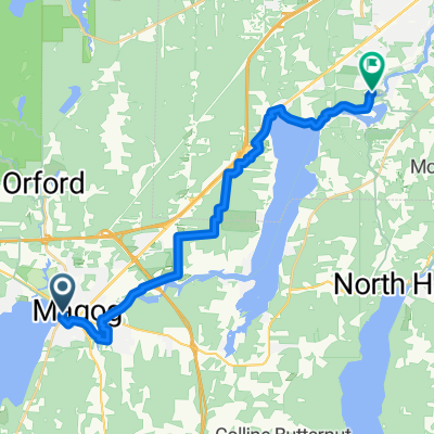 Magog Tripe #1