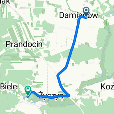 Damianów, Trojanów do Wola Życka, Trojanów