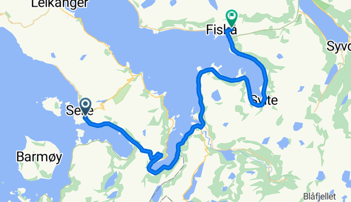 Selje - Fiskå