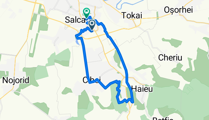 Strada Nufărului, Oradea to Strada Nufărului, Oradea