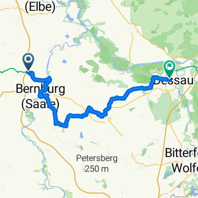 Brumby - Dessau