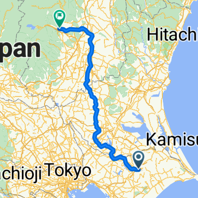 Narita-Nikko via Sak