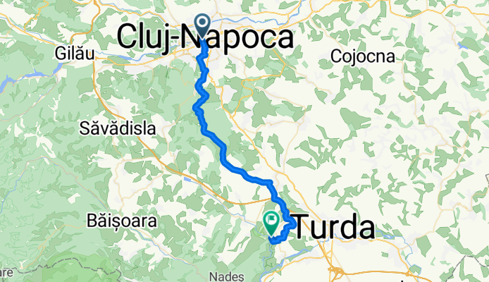 Route from Strada Paul Chinezu
