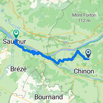 Day 7 Huismes to Saumur à diviser ou Piper?